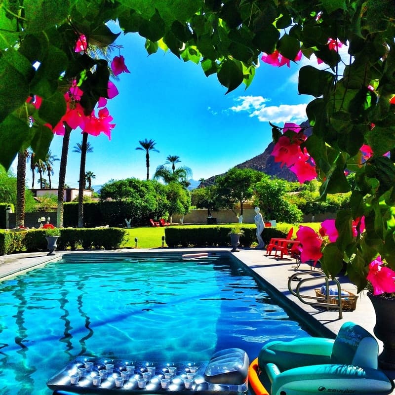 Pool framed by red flowers and tall palms; narrow crop