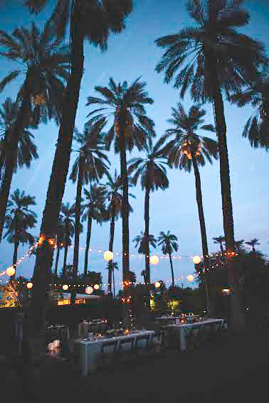 Long tables set under strings of paper lanterns beneath tall date palms at dusk