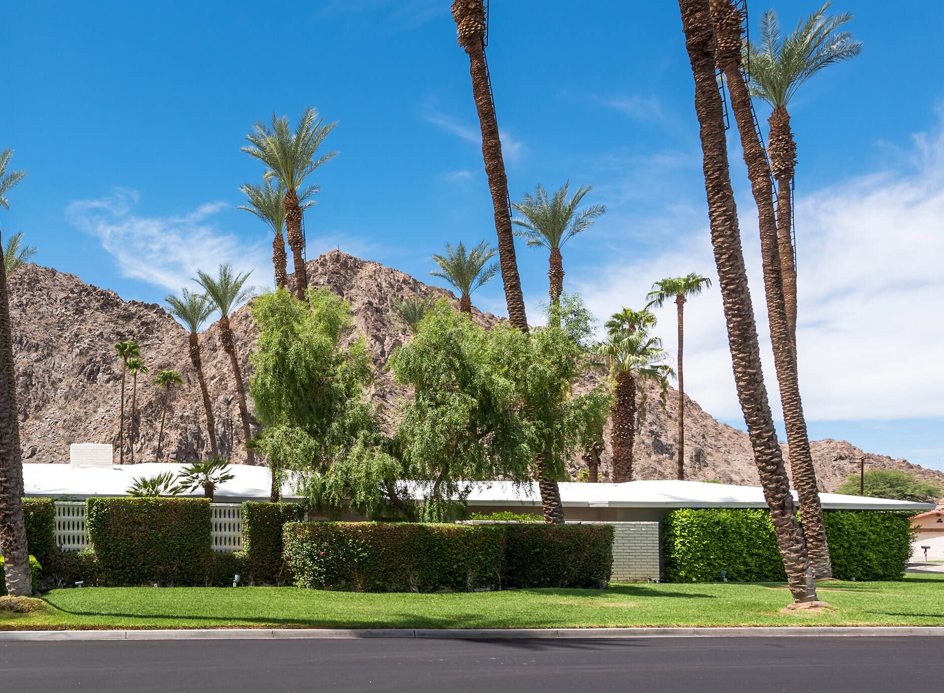 Low white-roofed house behind clipped hedges and a lawn, with tall date palms and a rocky mountain under a blue sky